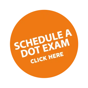 Chiropractor Near Me Dover DE Schedule A DOT Exam